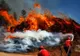 Portugalia, mistuită de flăcări. Armata, chemată în lupta cu incendiile