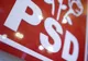 Prima reacție a PSD după respingerea definitivă a Rovanei Plumb