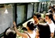 Rezultate BAC 2019 edu.ro Ilfov - Vezi notele pe EDU.ro