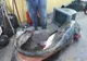 ”Monstrul” din Someș a fost prins azi-dimineață, la ora 05:20! Imagini incredibile. Are 75 de kg