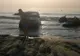 A intrat cu SUV-ul în mare și nu a putut să mai iasă. Scene șocante la Năvodari