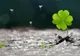 Horoscop 12 iulie. Zodia care scoate bani și din piatră seacă. Din ce dă, primește însutit. Minuni!