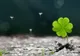 Cu ce zodie trebuie să te asociezi pentru a face mulți BANI. Horoscopul afaceriștilor