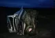 Accident cumplit: cinci victime, între care doi copii, după un impact violent