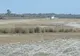 Imagini incredibile: Aerodrom ilegal improvizat pe o pășune, în Delta Dunării. Ce spun autoritățile