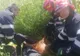 Căprioară salvată după ce a căzut într-un canal