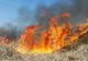Incendiu puternic, pe drumul spre mare. Traficul este afectat
