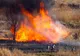 Caz tragic în Giurgiu: Bărbat ars de viu într-un incendiu de vegetație uscată