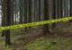 Șase persoane cu vârsta între 62 și 85 de ani, arestate pentru "acte sexuale" în pădure