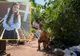 Cine e bărbatul care îşi spune "Îngerul alb" şi pe care Cumpănaşu îl acuză că e complice cu Dincă
