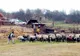 De la oraș la stână. Cât de grea e viața la țară pentru un cei născuți la bloc?