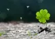 Zodiile care au numai noroc la bani. S-au născut ca să devină lideri