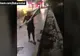 Imagini ireale în București: Un tânăr aruncă în Dâmbovița o trotinetă electrică de închiriat