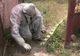 Un bărbat de 45 de ani, ucis de fratele său, în judeţul Brăila