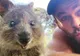 Cum ajută selfie-urile cu Quokkas, cel mai fericit animal din lume, la salvarea speciei