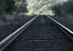 Un tren personal a lovit 13 vaci, în apropiere de Bistrița Năsăud
