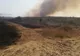 VIDEO Incendiu puternic în Dolj. Au ars 80 de hectare de arbuști și vegetație