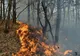Incendiu de vegetație. Circulația feroviară, întreruptă între Focșani-București