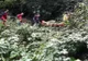 O tânără care voia să-și facă un selfie a căzut în prăpastie la Cota 1400 din Sinaia