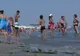 Invazie de meduze pe litoral(Video)