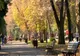 Bătrân de 83 de ani a agățat o tânără de 18 ani în parc. Ce s-a întâmplat când au ajuns în dormitor