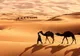 Sahara a fost cândva sub ape! Transformarea prin care ar putea trece acum Pământul