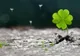 Horoscop financiar 16-22 septembrie. Câștiguri cu multe zerouri. Zodia care adună un munte de bani