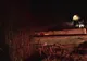 Căruță spulberată de o mașină în Dâmbovița: 4 victime. VIDEO