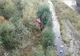 Accident grav în Hunedoara. Un șofer a căzut cu mașina de pe pod