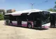 Premieră națională la Cluj: autobuze fără șoferi pe străzile din oraș