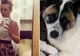 Câinele lătra întruna la pântecele gravidei. Când tânăra a mers la doctor, a primit o veste șocantă