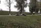 Devotament! Un câine păzește locul în care a murit stăpânul său