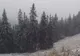 Ninge în toată regula în România. Județul unde iarna a început să se instaleze -VIDEO