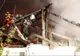 Tragedie, în Botoșani. Casă distrusă în incendiu, o victimă