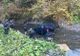 Accident grav pe Transfăgărăşan. Echipajul SMURD a făcut tot ce s-a putut