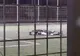 Tragedie! Un bărbat din Buzău a murit pe terenul de minifotbal