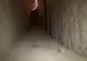 Descoperire uimitoare. A săpat 5 ani un tunel, iar polițiștii s-au îngrozit. Ce ascundea