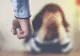 Dat în urmărire națională, un bărbat a fost prins pentru că s-a întors să-și bată SOȚIA