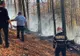 Arde pădurea la Sinaia! FOTO-VIDEO