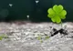 4 zodii care fac bani în toamna 2019. Se îmbogățesc peste noapte