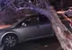 La un pas de tragedie. Un copac a strivit o mașină în care se afla o familie cu un copil de 3 ani