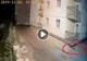 Momentul terifiant în care începe cutremurul din Albania. Toate animalele fug 