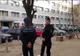 Informații șocante ies la iveală în scandalul dezinsecției din Timișoara