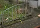Căprioară rătăcită în centrul unui oraș, salvată de jandarmi