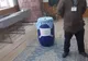 Într-un sat din Vâlcea voturile se strâng în butoiul cu murături