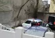 Ce s-a întâmplat cu cei doi indivizi care au violat și bătut o fetiță de 10 ani