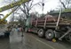 Un accident mortal îi scoate pe oameni în stradă, chiar în ziua alegerilor prezidențiale
