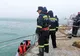 "Apocalipsa oilor" din portul Midia