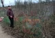 VIDEO Un bârlădean filmat cu o furcă în mână și cu doi câini care „rupeau” un maidanez 