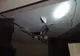 Explozie puternică într-un bloc din Galați. Imagini incredibile